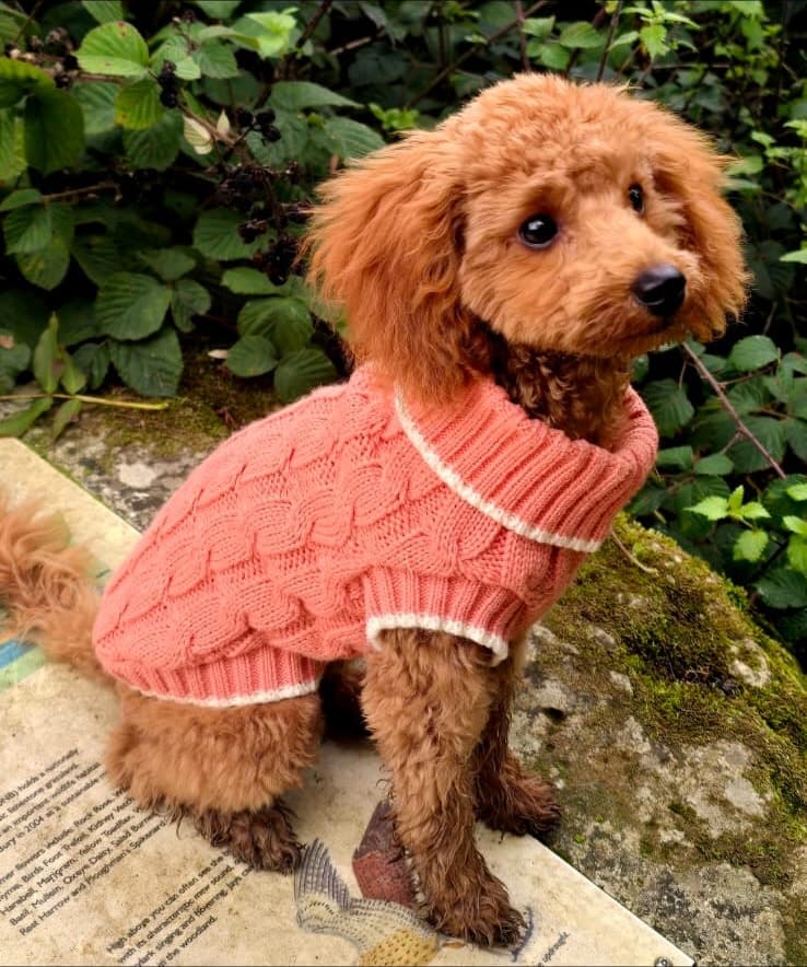Tosia in a peach knitted jumper, surrounded by green leaves